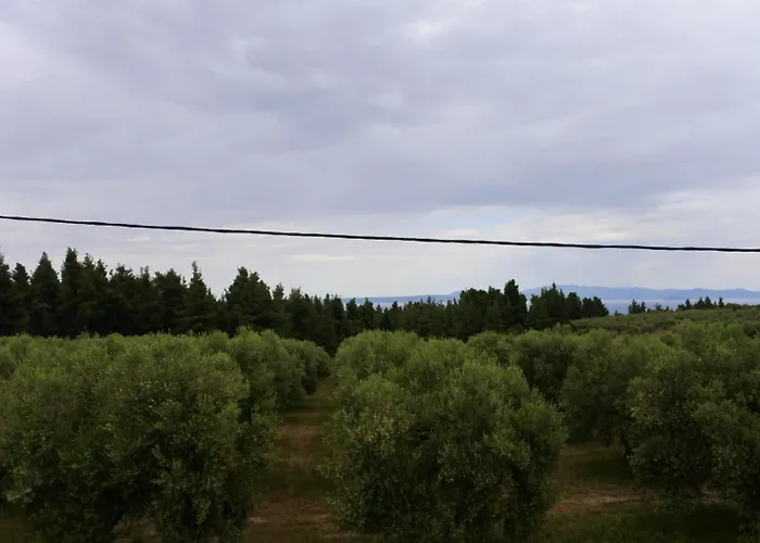 Villa Aggelos Kriopijí