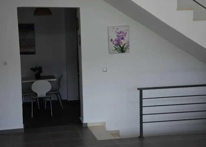 Aggelos * Kriopijí