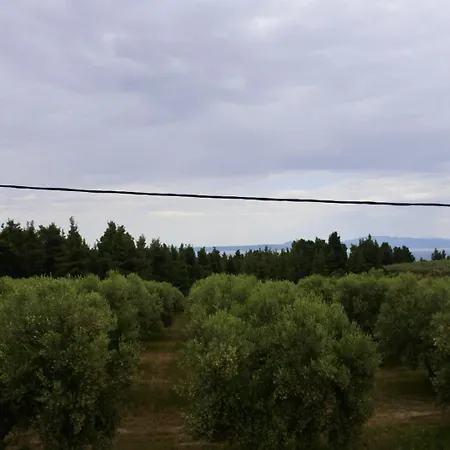 Villa Aggelos Kriopigi